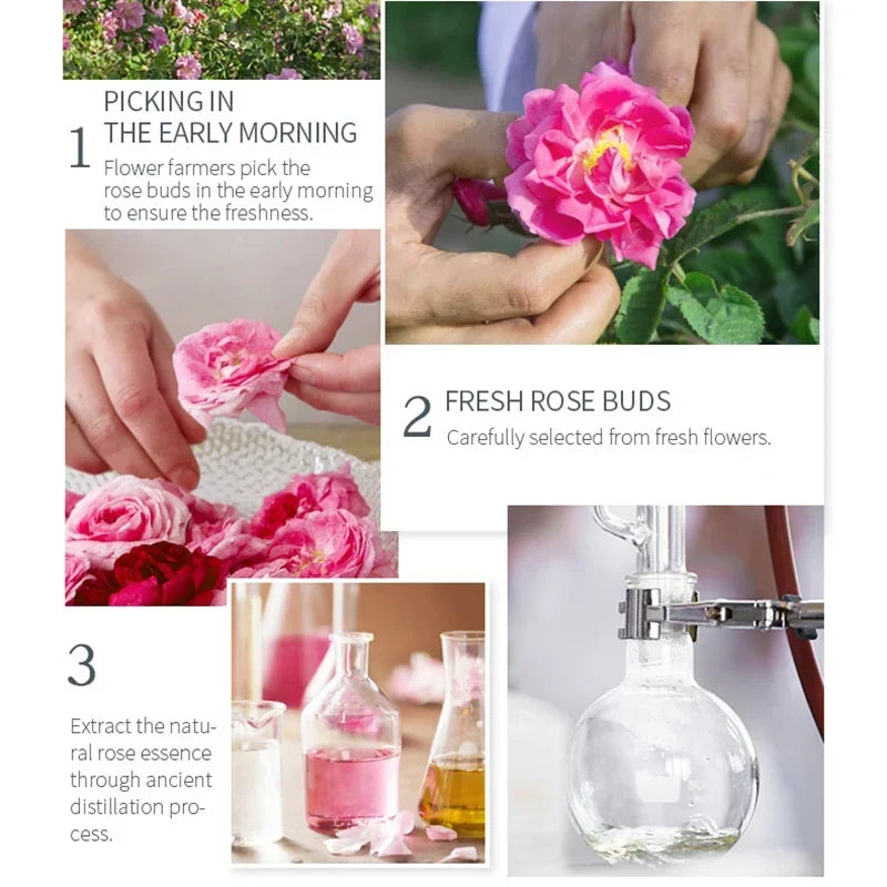 Hydrating rose water facial toner bottle for refreshed skin